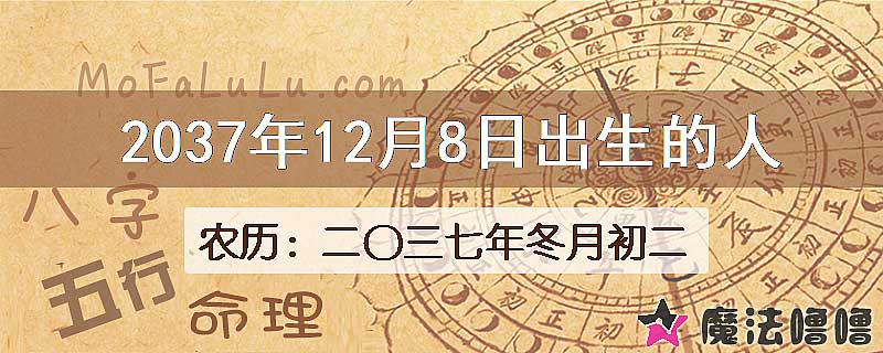 2037年12月8日出生的八字怎么样？