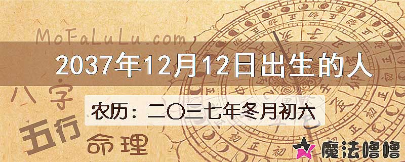 2037年12月12日出生的八字怎么样？