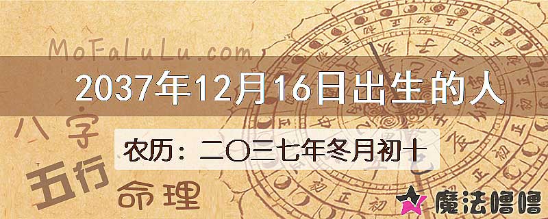 2037年12月16日出生的八字怎么样？