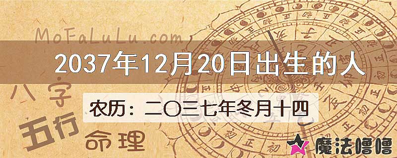 2037年12月20日出生的八字怎么样？