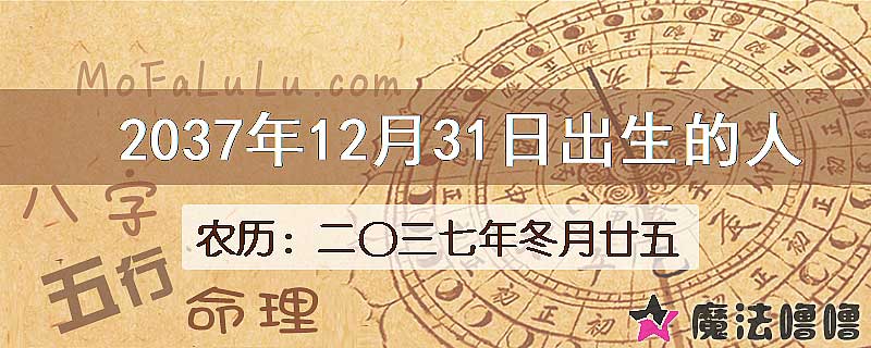2037年12月31日出生的八字怎么样？