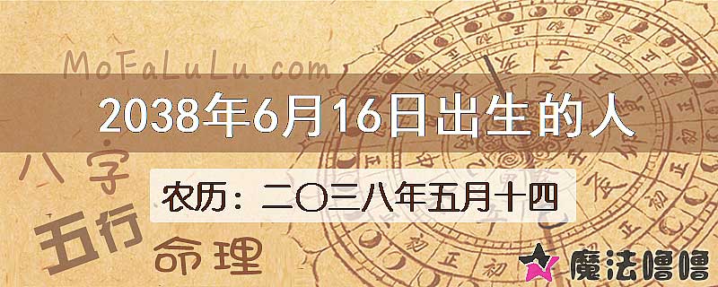 2038年6月16日出生的人