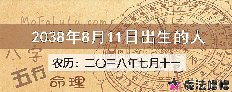 2038年8月11日出生的人