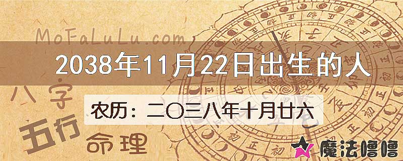 2038年11月22日出生的人