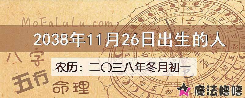 2038年11月26日出生的人