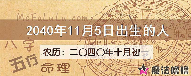 2040年11月5日出生的人