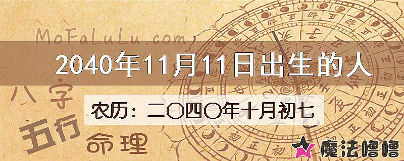 2040年11月11日出生的人