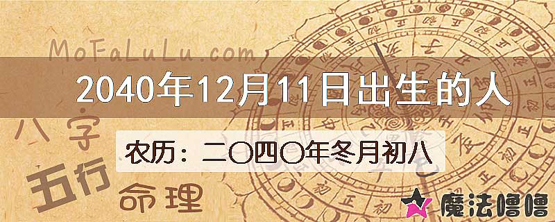 2040年12月11日出生的人