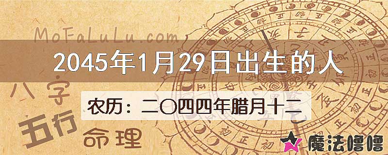 2045年1月29日出生的人