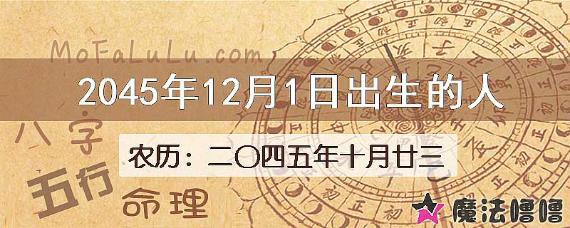 2045年12月1日出生的人