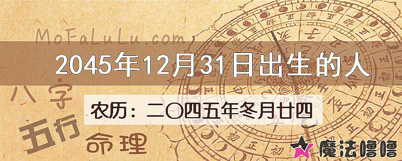 2045年12月31日出生的人