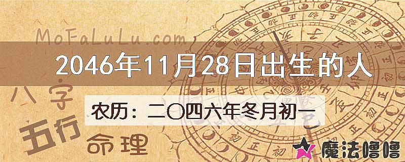 2046年11月28日出生的人