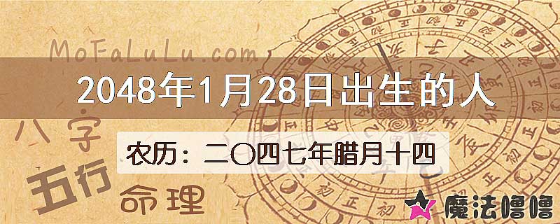 2048年1月28日出生的人