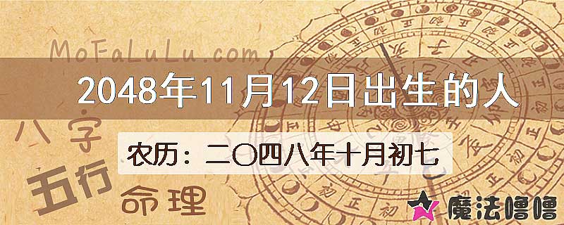 2048年11月12日出生的人