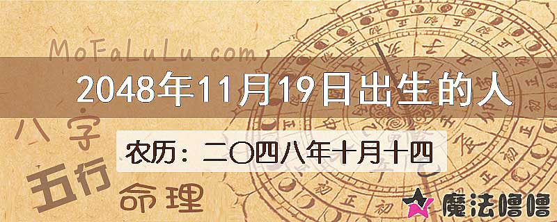 2048年11月19日出生的人