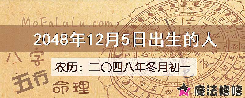 2048年12月5日出生的人