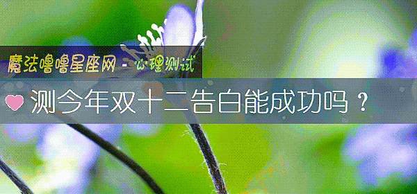 測今年雙十二告白能成功嗎？