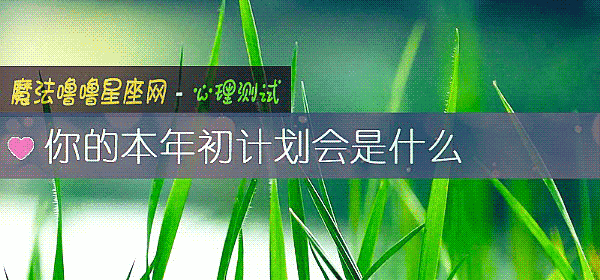你的本年初計劃會是什麼