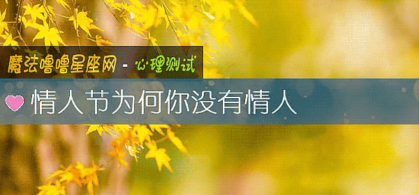 情人節爲何你沒有情人