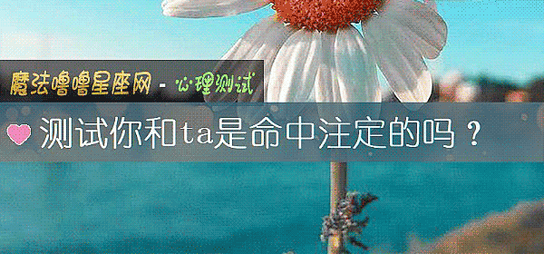 測試你和ta是命中注定的嗎？