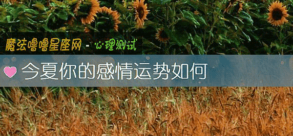 今夏你的感情運勢如何