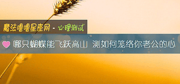 哪只蝴蝶能飛躍高山 測如何籠絡你老公的心
