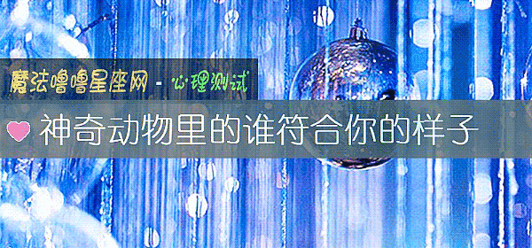神奇動物裏的誰符合你的樣子
