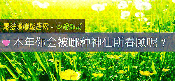 本年你會被哪種神仙所眷顧呢？