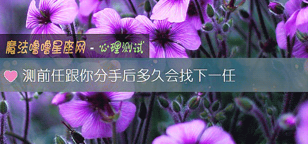 測前任跟你分手後多久會找下一任