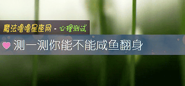 測一測你能不能鹹魚翻身
