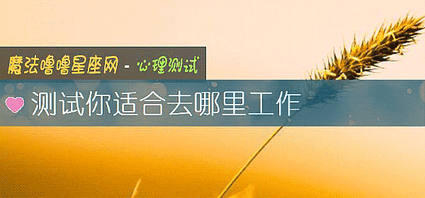 測試你適合去哪裏工作