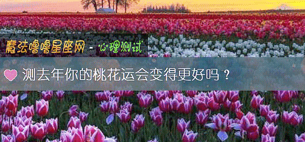 測去年你的桃花運會變得更好嗎?
