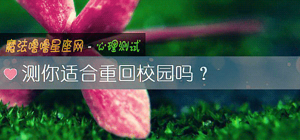測你適合重回校園嗎?