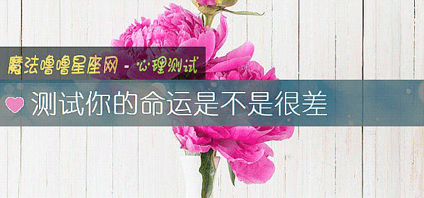測試你的命運是不是很差