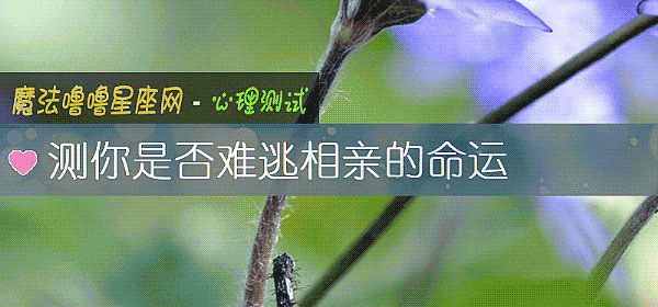 測你是否難逃相親的命運