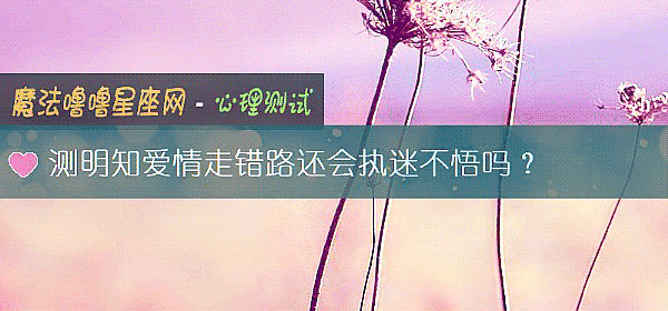 測明知愛情走錯路還會執迷不悟嗎?
