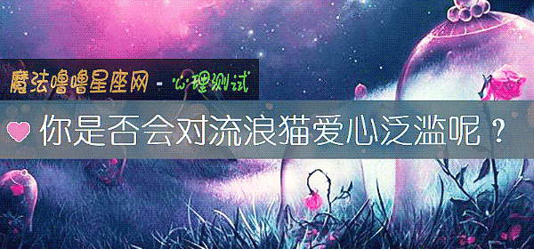 你是否會對流浪貓愛心泛濫呢？