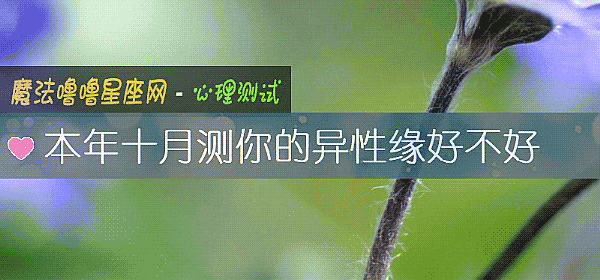 本年十月測你的異性緣好不好