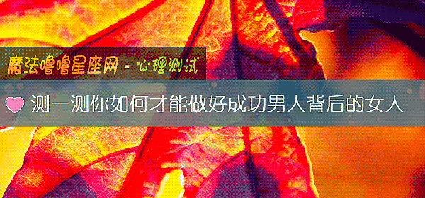 測一測你如何才能做好成功男人背後的女人