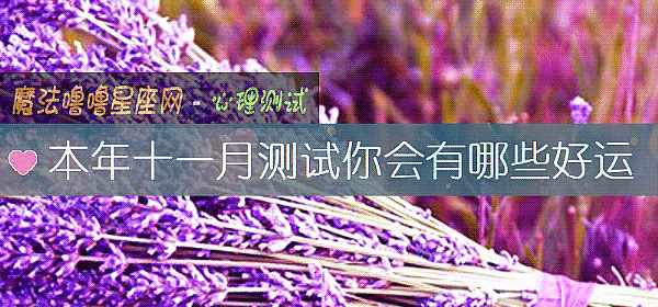 本年十一月測試你會有哪些好運