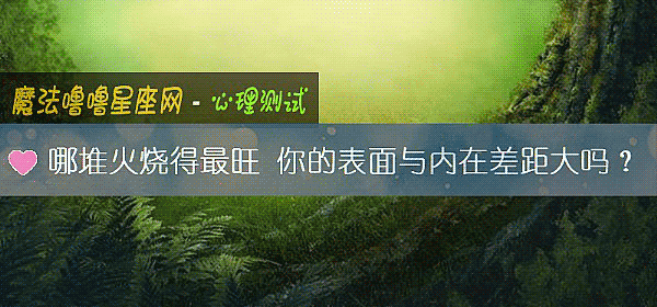 哪堆火燒得最旺 你的表面與內在差距大嗎？