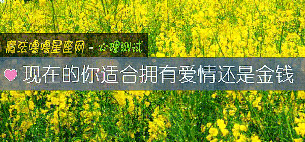 現在的你適合擁有愛情還是金錢