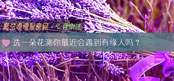 選一朵花測你最近會遇到有緣人嗎?