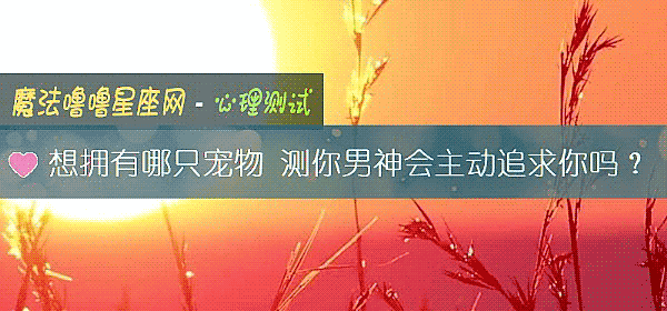 想擁有哪只寵物 測你男神會主動追求你嗎？