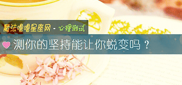 測你的堅持能讓你蛻變嗎？