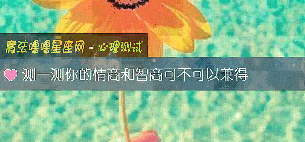 測一測你的情商和智商可不可以兼得