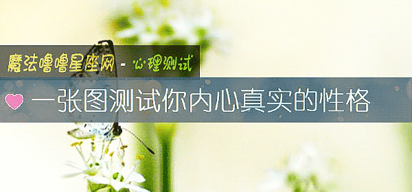 一張圖測試你內心真實的性格