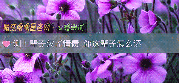 測上輩子欠了情債 你這輩子怎麼還