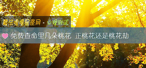 免費查命裏幾朵桃花 正桃花還是桃花劫