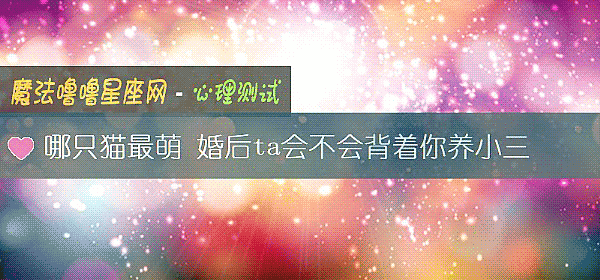 哪只貓最萌 婚後ta會不會背著你養小三